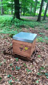 bienen 1 WECO Experts